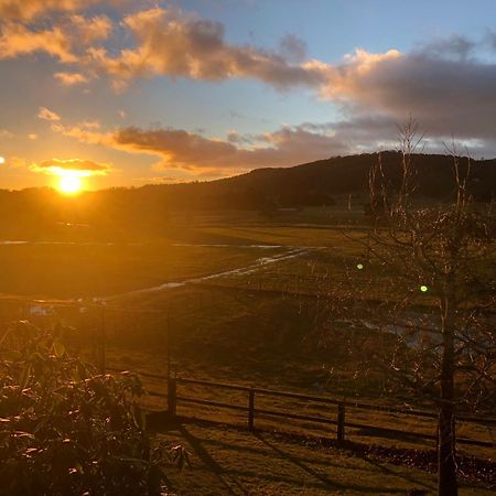 Mole Creek Hideaway Hotel ภายนอก รูปภาพ