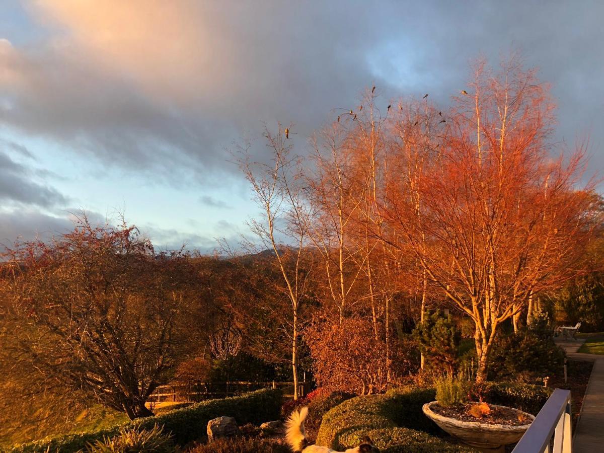 Mole Creek Hideaway Hotel ภายนอก รูปภาพ