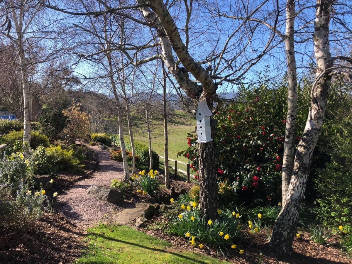 Mole Creek Hideaway Hotel ภายนอก รูปภาพ