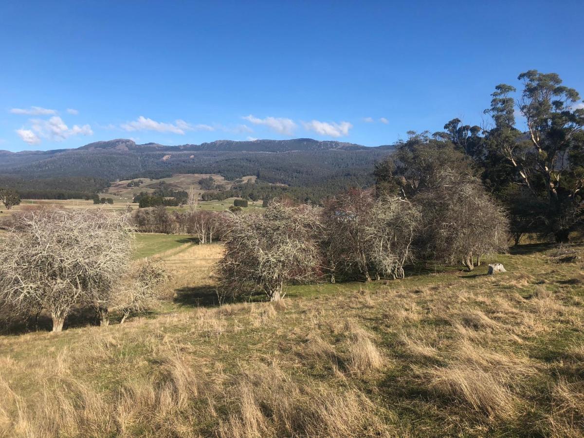 Mole Creek Hideaway Hotel ภายนอก รูปภาพ