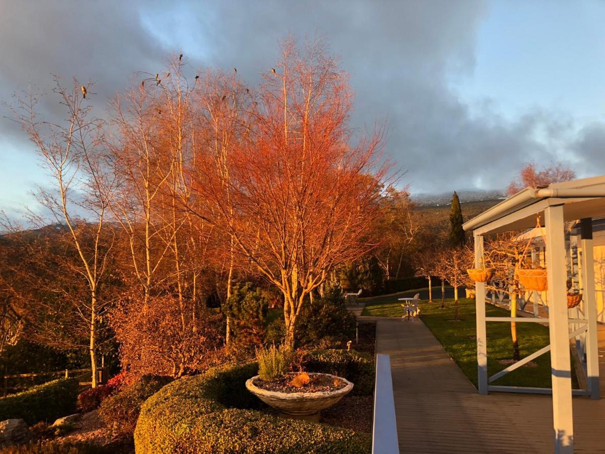 Mole Creek Hideaway Hotel ภายนอก รูปภาพ