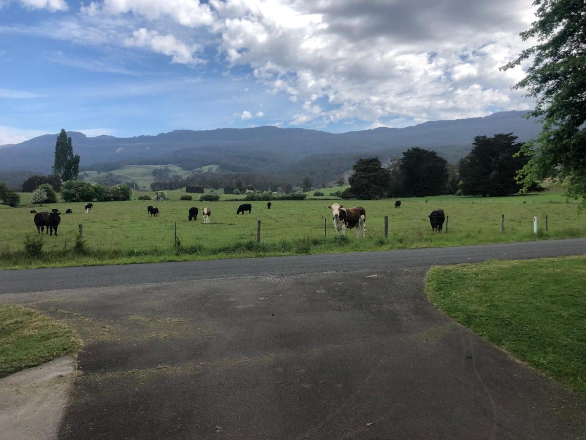 Mole Creek Hideaway Hotel ภายนอก รูปภาพ